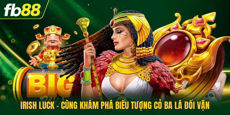 Irish luck - Cùng Khám Phá Biểu Tượng Cỏ Ba Lá Đổi Vận
